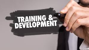 Training & Development